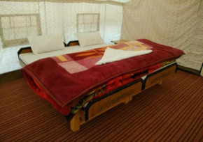 The Buddha Camp - Pangng